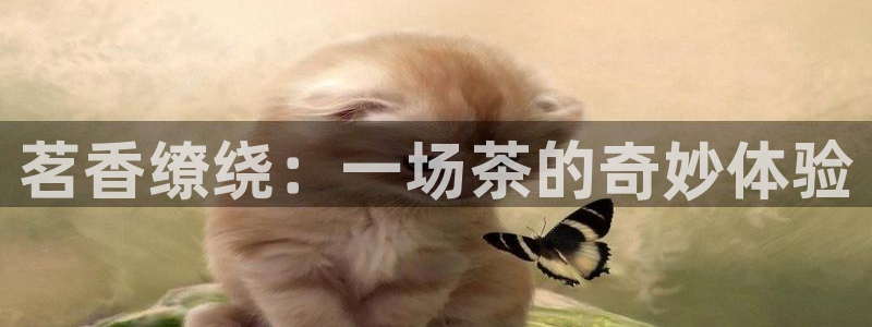 龙八国际娯乐城