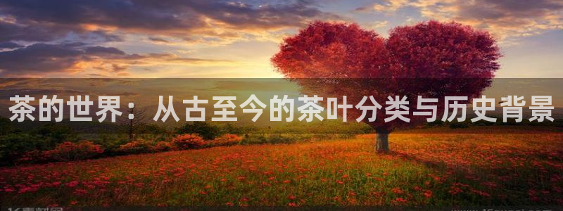 龙八国际注册f68点top