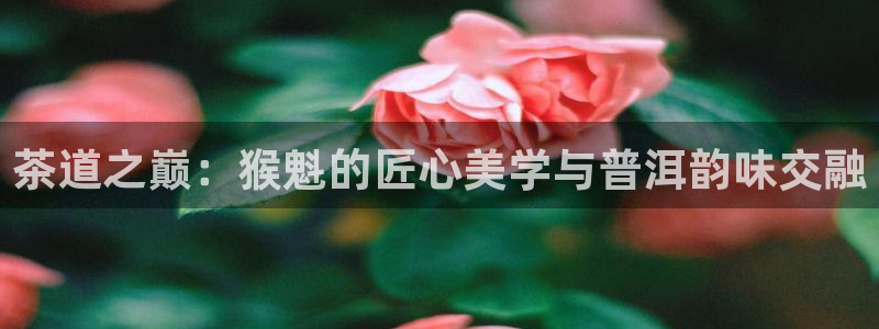 龙八国际备用地址