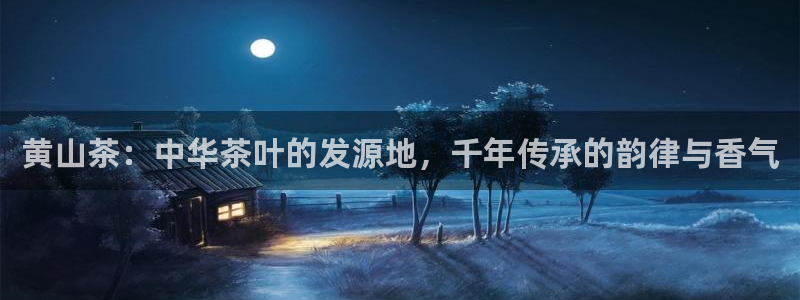 龙八国际手机版官方版app下载