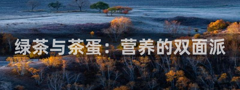 龙八国际app联系方式