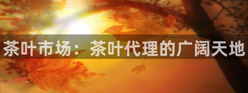 龙八国际娱乐官网注册