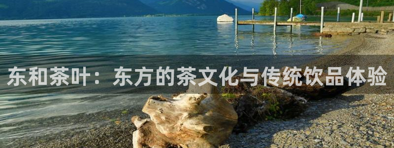 龙八国际头号玩家是谁