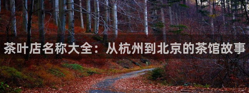 龙八国际官网手机端