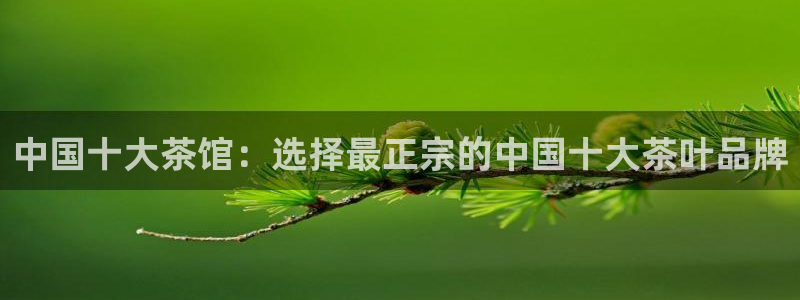 龙八国际平台yb48点top