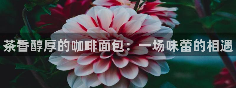 龙八国际苹果版下载