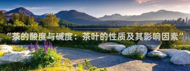 菲律宾龙八国际