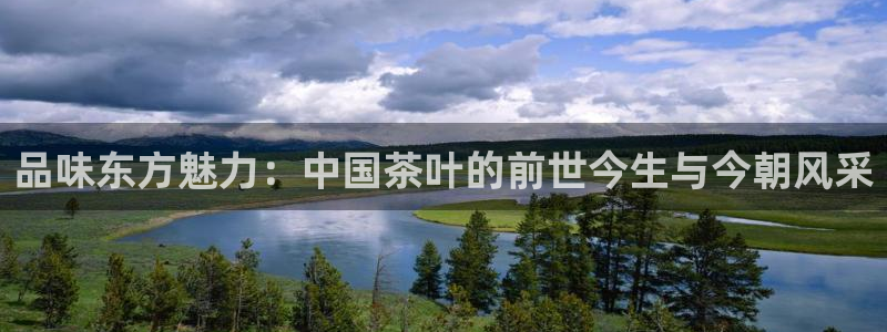 下载龙八国际大片