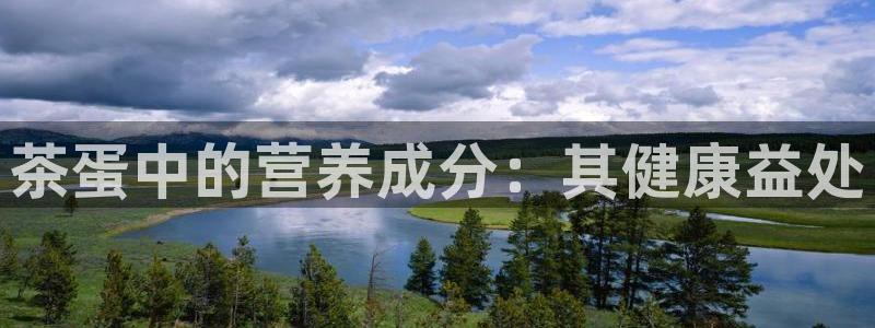 龙八国际官网手机端