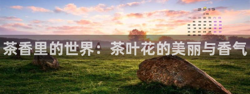 龙八国际app客户端下载手机版