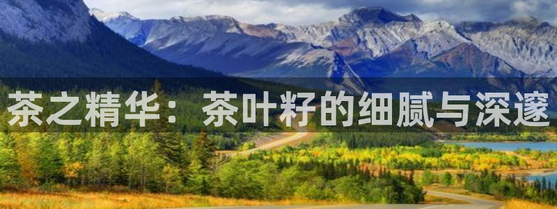 龙八国际客户端下载安卓