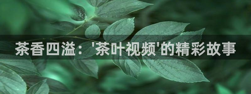 龙八国际pt娱乐