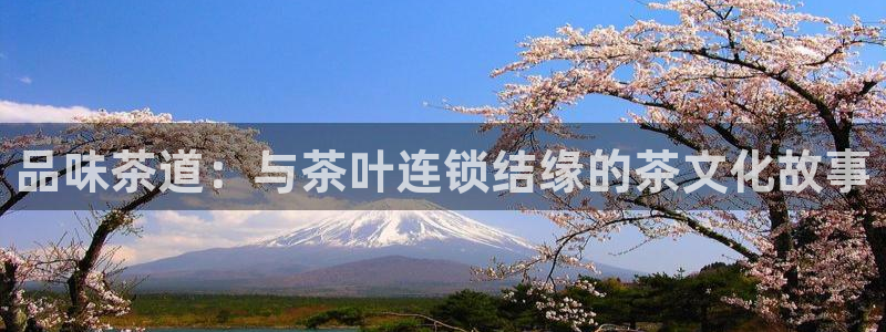 龙八国际娱乐App客户端下载