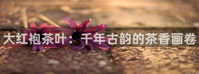 龙八国际官网下载