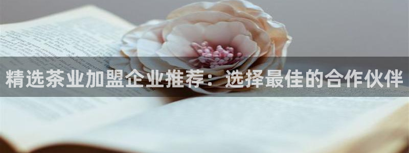 龙八国际优惠券有什么用