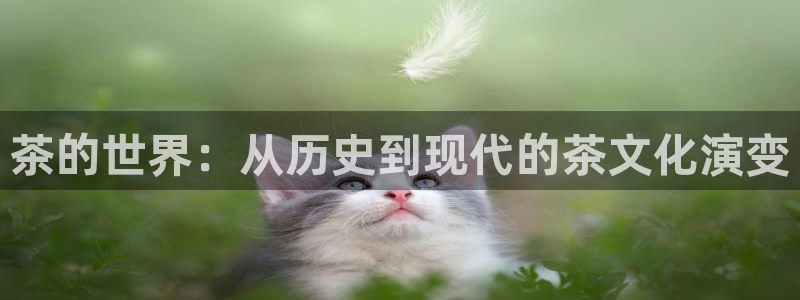 龙八国际官方手游