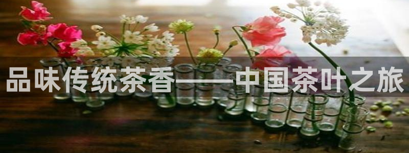 龙八国际娱乐游戏