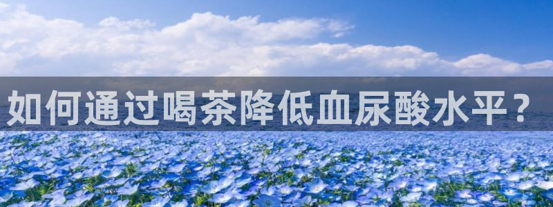 龙八国际娱乐app下载