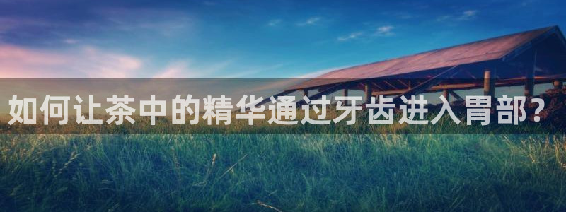 龙八国际服官方