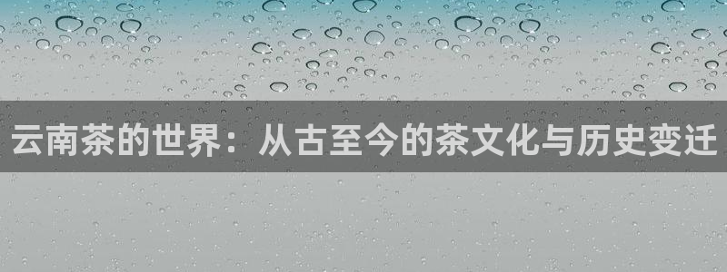 头号玩家龙八国际网址