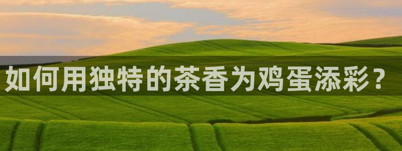 龙八国际是干什么的