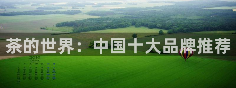 龙八国际服官网下载安装