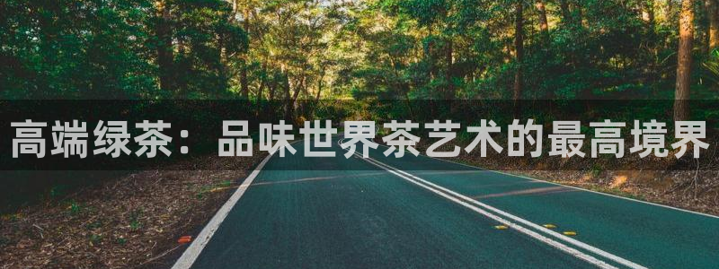 龙八国际官方登录