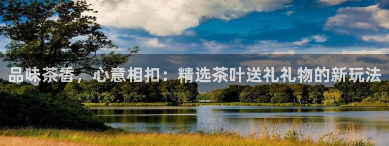 龙八国际app官方网站