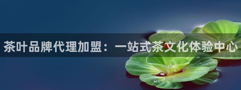 龙八国际视频入口