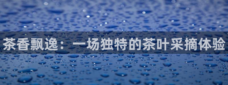 龙八国际娱乐城