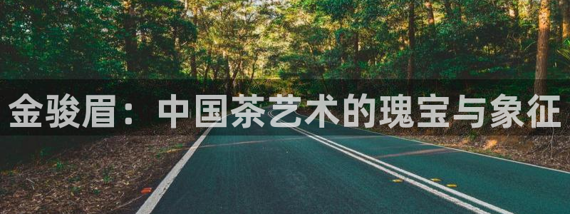 龙八国际官方网登录