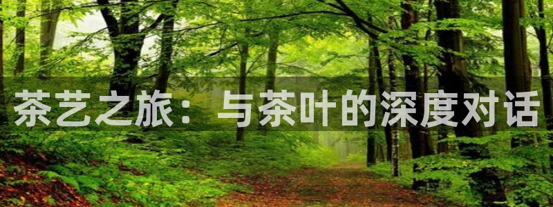 龙八国际手机版下载平台