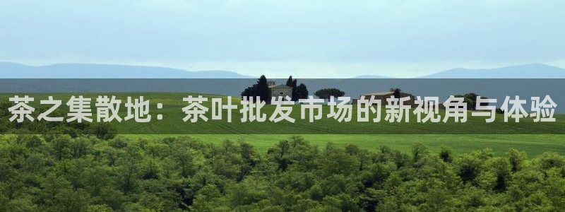 龙八国际我要登录