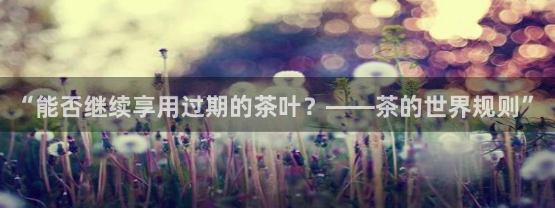 龙八国际娱乐网