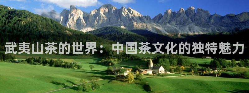 龙八国际客户端app