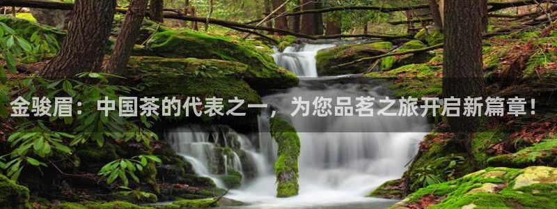 龙八国际娱乐app下载