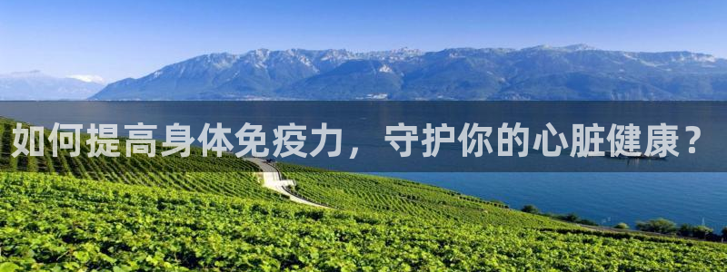 龙八国际是缅甸的吗