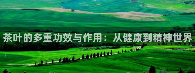 龙八国际不可思议的气球