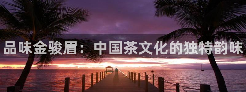 国际龙八国集团