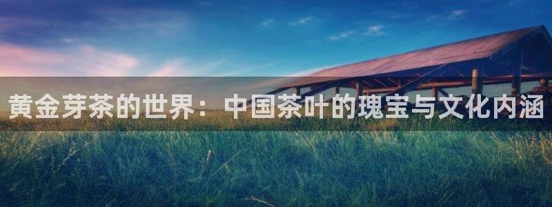 龙八国际网易云音乐