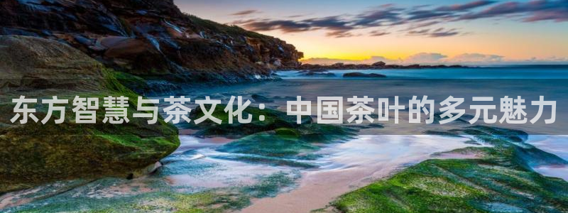 龙八国际登录f68点top