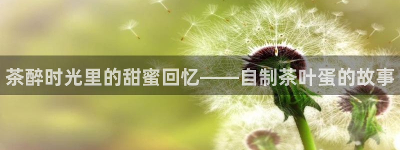 龙八国际电脑版下载