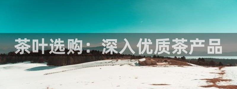 龙八国际不支持苹果手机