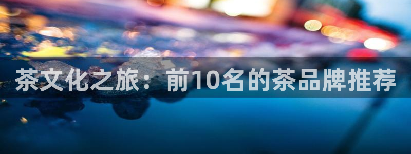 国际龙八国集团