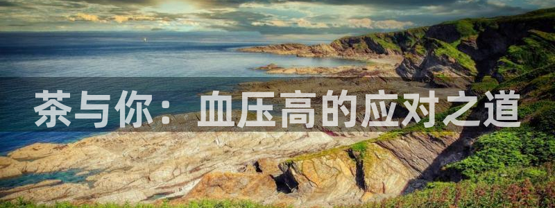 龙八国际游戏维护时间