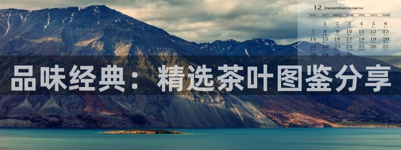 龙八国际平台安卓