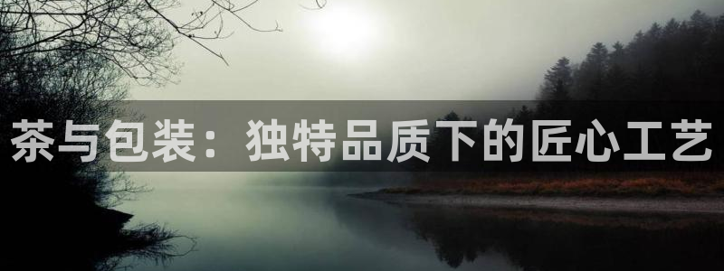 手机版龙八国际官网