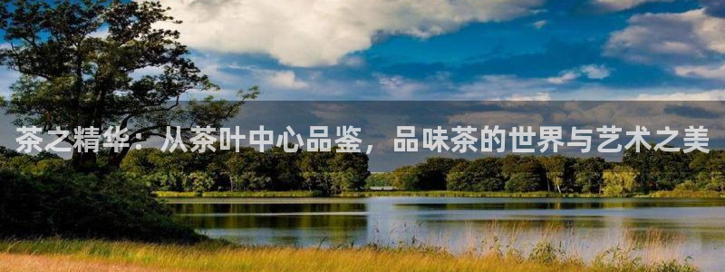 龙八国际娱乐手机登录