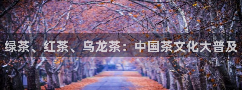 龙八国际官网入口