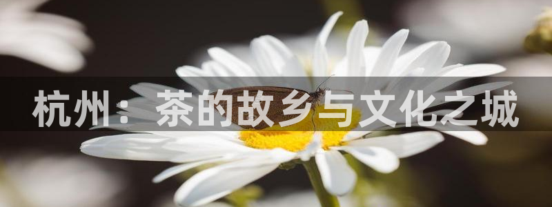 龙八国际花园宝宝